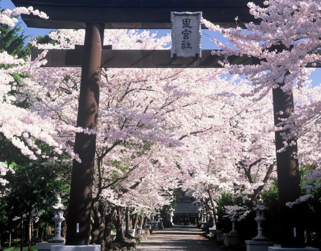 冨士御室浅間神社 里宮 1 e586a8e5a3abe5bea1e5aea4e6b585e99693e7a59ee7a4be e9878ce5aeae