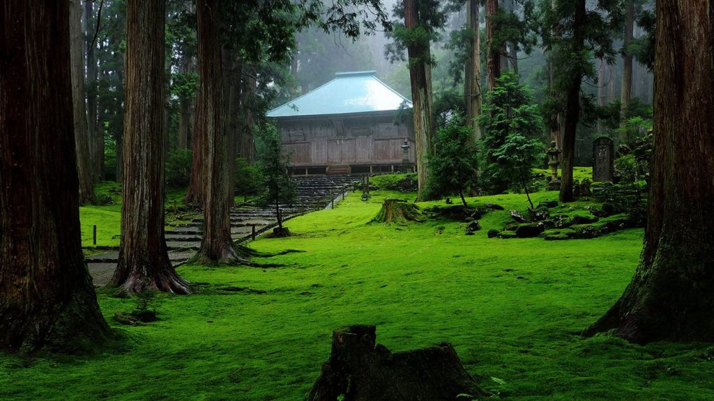 平泉寺白山神社 1 e5b9b3e6b389e5afbae799bde5b1b1e7a59ee7a4be