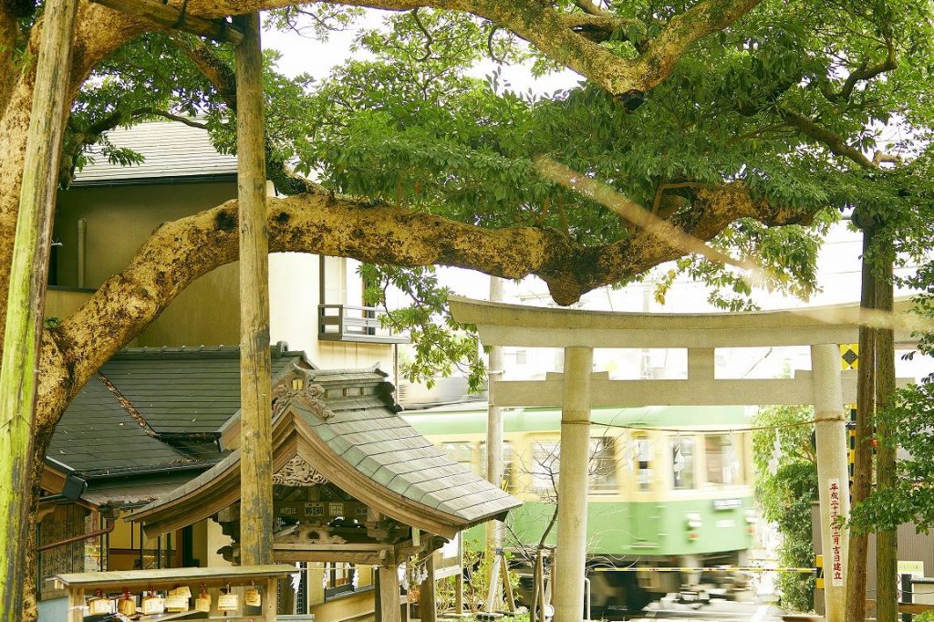 御霊神社 1 e5bea1e99c8ae7a59ee7a4be