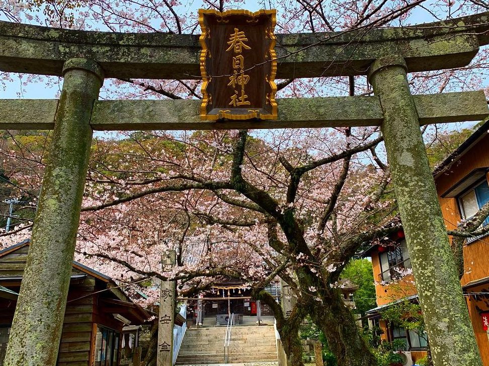 春日神社(眉山町) 1 e698a5e697a5e7a59ee7a4beefbc88e79c89e5b1b1e794baefbc89